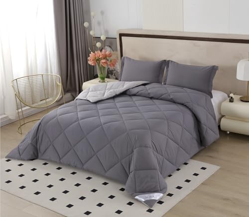 NORA HOME Couette 235x260 Gris Ultra Chaude pour lit 2 Personnes Réversible 400 GR/m². Anti-acariens. Antibactérien. Niveau Thermique 4.5/5. Fibre de Qualité 3D. Certifié Oeko-Tex - Bicolor