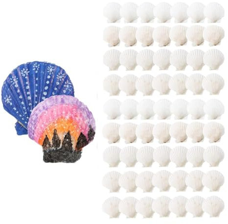 Muuoeou Lot de 100 coquillages marins pour bricolage, grandes coquillages Saint-Jacques naturels, d'huîtres blanches, grand paquet pour décorer, bricoler, plage