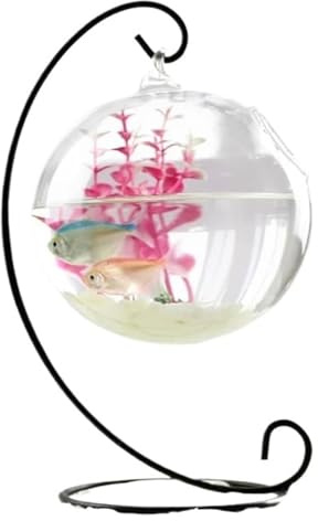 CSYQPDMBDL Kugelaquarium, Goldfischglas, Fischschale for Aufhängen, transparent, for den Schreibtisch, kleine Aquarien(Black,Medium)