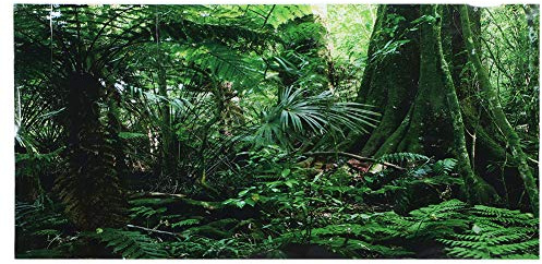3D Effekt Regenwald Poster Selbstklebende Reptilien Terrarium Aquarium Hintergrund Aquarium Wandaufkleber Aquarium Hintergrund Unterwasser Poster PVC Dekor Tapete (61 × 41 cm)