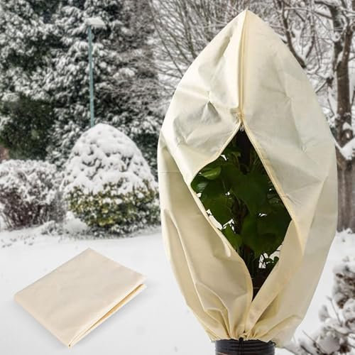 ITEFDTUTNE Pflanzenschutz Winter, 250 x 360cm Frostschutz Pflanzenabdeckungen, Winterschutz für Pflanzen, Uberwinterungszelt für Pflanzen mit Reißverschluss und Zugband für Olivenbaum, Palmen