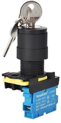 Interruttore a chiave LA36M da 22 mm 12 V 220 V 10 A 2 posizioni 1 NO On Off Manopola Pulsante 2 NO Selettore rotativo a 3 posizioni con chiavi(3 position 2NO)