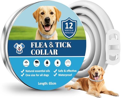 Collare Antiparassitario Per Cani, 12 Mesi di Protezione Sicura ed Efficace, Oli Essenziali Naturali Al 100%, 65 cm Regolabile Impermeabile Collare Antipulci e Zecche per Tutti i Cani