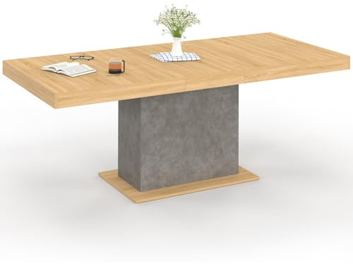 IDMarket - Tavolo da pranzo rettangolare allungabile EDEN 6-10 persone effetto legno e cemento 160-200 cm