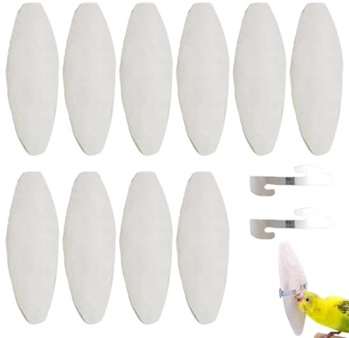 10 Stück Sepiaschalen, Papageien Kauspielzeug, sepiaschalen, Vögel Kauen Spielzeug, mit 2 Stück Metallhalter Tintenfische Sepia Knochen für Papageien Vögel Reptilien Schildkröten Schnecken,10-11cm