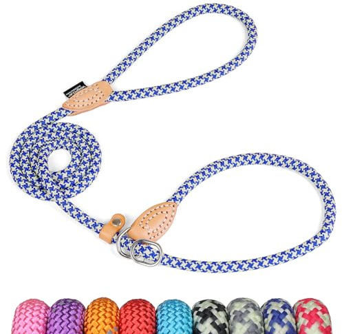Grand Line Retrieverleine mit Zugstopp, 150 cm Moxonleine Reflektierende Hundeleine, Sicher Dauerhafte Trainingsleine Moxonleine für Kleine Mittlere und Große Hunde - 10mm, Blau-Grün