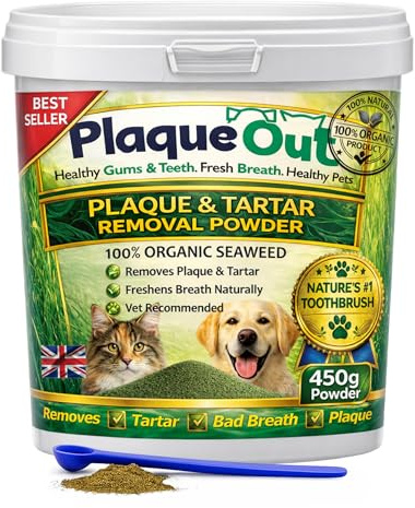 PLAQUE OUT Pot de 450 g – Détachant de plaque – Poudre d'algues 100 % naturelle et biologique pour chiens et chats – Nettoyage des dents de chien, élimination de la plaque, soins dentaires pour