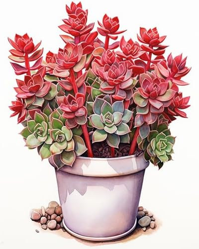 Weiniuniu 5D DIY Diamond Painting Kit Sukkulenten Kristall-Strasssteinen Bilder Set Diamond Arts Craft Malerei Erwachsene Home Wanddekoration 40x50 cm