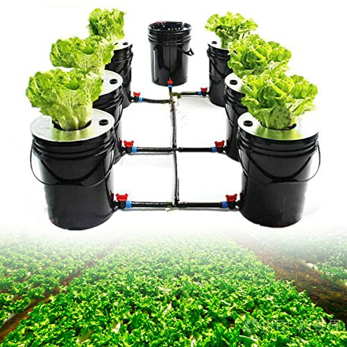 Esyogen Kit de culture hydroponique DWC Grow System 20Lx7 pour la maison et la cuisine