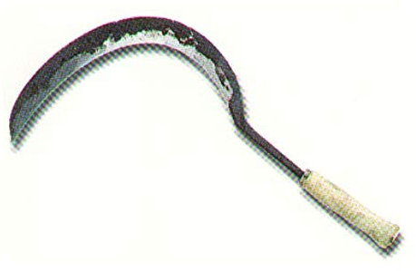 ARTESANAL Hoz de Monte CARBALLO Fabricación Artesana para Cortar Hierba, Forraje y Maleza, Mediana, Mango de Madera