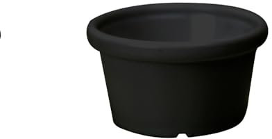 12 Ramequins 60 ML Ø 7 x 3,5 cm Noir Pet