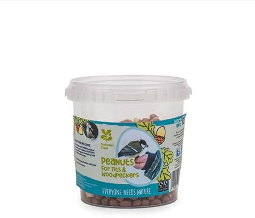 PDL – PegDev – NT Range Kids Peanuts for Tits & Woodpeckers – High Protein Bird Feed, Refillable Container, Supports Wildlife – 500g