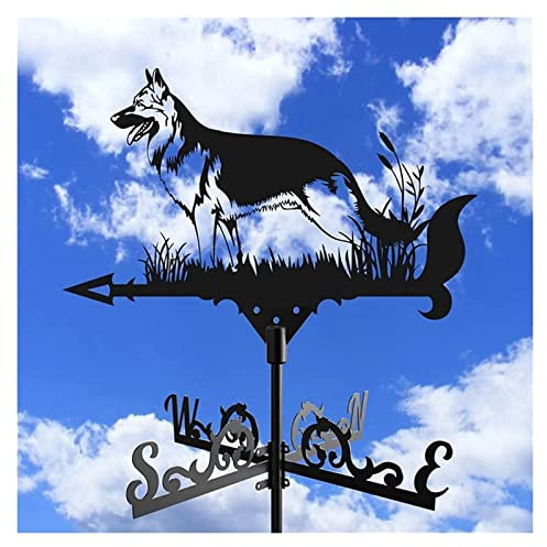 Girouette de luxe en métal pour toit - Ornements de girouette - Indicateur de direction du vent - Pour toits, abris de jardin, jardin, coupole, granges 708