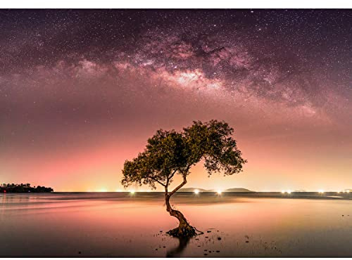 Runa Art Fotomurales Aurora boreal Árbol Cielo nocturno 352 x 250 cm Fondo De Pantalla XXL Moderna Decoración De Pared Sala Cuarto Oficina Salón Naranja 9590011b