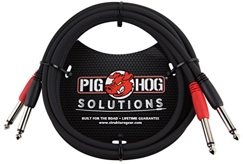 Pig Hog PD-21410 Dual 1/4 Mono (Male) Cable, 10 Feet
