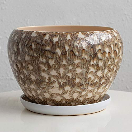 Pot de fleurs extra large en céramique verte de style chinois avec soucoupe respirante pour cactus et orchidée pour bac d'égouttement en terre cuite Taille M