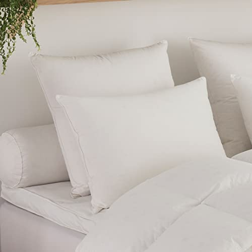 DODO - Oreiller Micro Green 40x60 cm - Soutien Medium (Dos) - Microfibre Effet Duvet - Douceur & Confort aérien - Enveloppe 100% Percale de Coton - Lavable 40°C