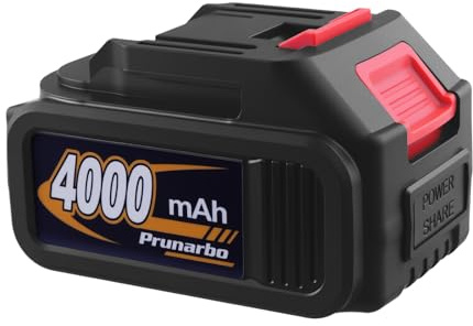 Batteria Di Ricambio 4Ah 21V MAX Compatibile Con PR-E50, PR-E40, PR-E8
