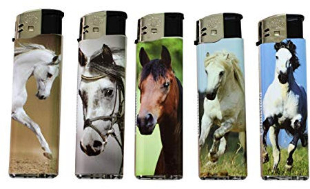 2J Lot DE 5 BRIQUETS Chevaux Rechargeables