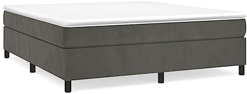 mtlskopl Boxspringbett Dunkelgrau 160x200 cm Samtbezug mit Taschenfederkernmatratze 25 cm Gesamthöhe Modernes Design & mittelharte Liegefläche für Schlafzimmer und Jugendzimmer