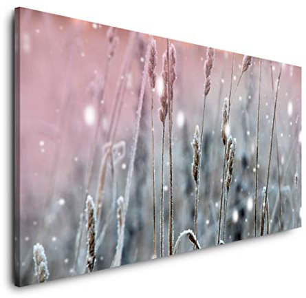Winterpflanzen 120x 60cm Panorama Leinwand Bild XXL Format Wandbilder Wohnzimmer Wohnung Deko Kunstdrucke