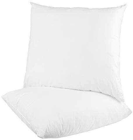 Bestlivings Juego de 2 cojines de 30 x 30 cm en microfibra de calidad Deluxe, cojines decorativos como relleno, adecuado para todas las fundas de almohada de tamaño 30 x 30 cm