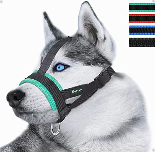 Hund Munkorg I Nylon Med Huvudrem För Små, Medelstora, Stora Hundar, Hållbara Och Justerbara Hundmunkorgar För Att Förhindra Bitning, Tugga Och Skällande (XL, Grönt)