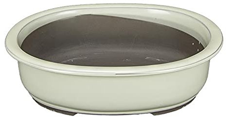 Geosism & Nature Vaso per bonsai Giapponese Morrisan ovale in gres smaltato bianco 20x15,5x7 cm - B21-27c