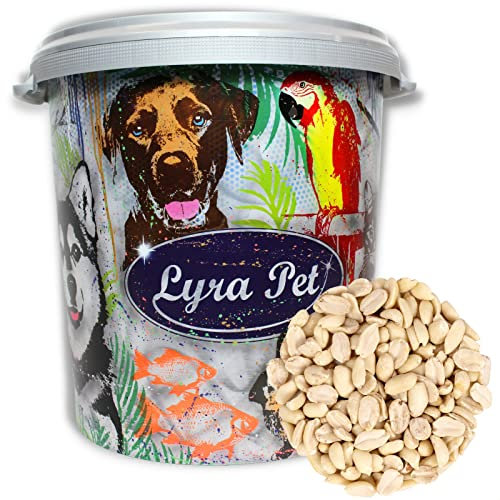 Lyra Pet® | 10 kg Erdnusskerne Splits in 30 L Tonne | HK Argentinien | Geschälte, Halbe Erdnüsse | Gourmetsnack für Wildvögel | Vogel Streufutter | Für alle Körnerfresser | Energiequelle für Vögel