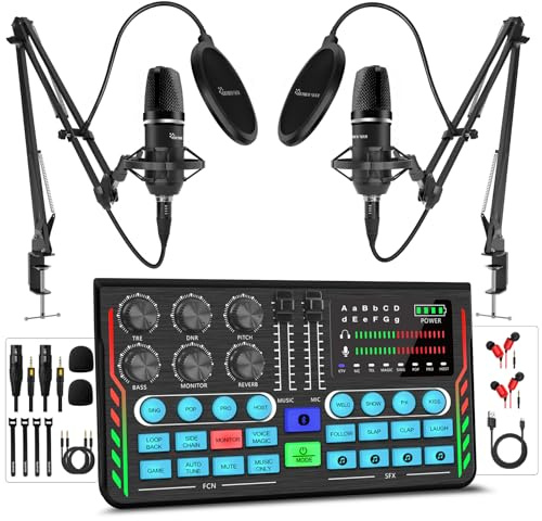 Hayner-Seek Podcast Equipment Bundle for 2, DJ Mixer with 3.5mm Diaphragm Condenser Microphone for Live Streaming, Podcast Recording,Gaming, Youtube, TikTok, PC, Smartphone