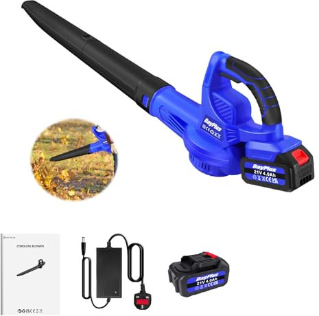 Cordless Leaf Blower Electric Garden Blower with 4000MAH Battery & Charger, 10500RPM, 2 Detachable Tubes, Lightweight Design, Leaf Blower Cordless Dust Blower Car Blower for Leaf Dust Snow