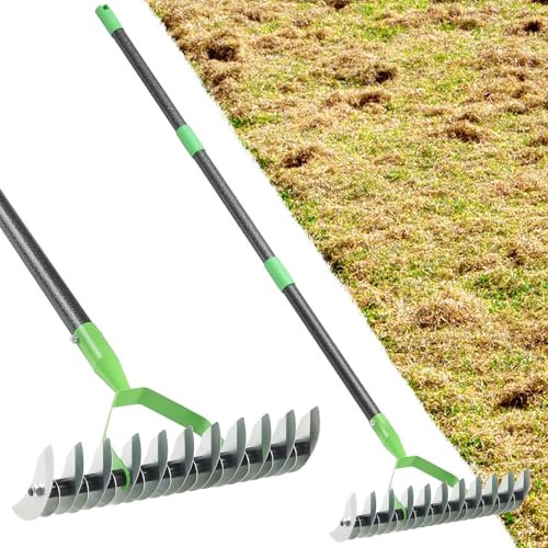 Thatch Rake, 67 Garden Dethatcher Rakes for Lawns Heavy Duty, 2-in-1 Metal Rake with Double-Sided Rake Head, Manual Thatching Rake for Dead Grass Moss Remove, Loosen Soil, Laying Sod, Yard Thatcher