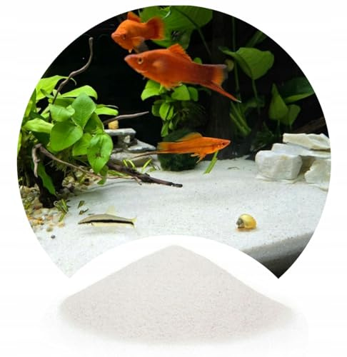 TD STONES Quarzsand für Aquarium Kies Fein 0,5-1mm - Natürlicher Aquariensand Bodengrund für Süß- & Meerwasser, Sicher für Garnelen & Fische, Ideal für Aquascaping und Pflanzen-Wachstum, 8kg