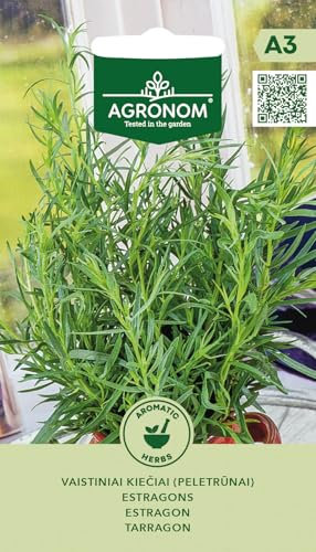 AGRONOM | Estragón semillas | Semillas de flores | Semillas de plantas | Semillas de jardín | Planta herbácea perenne y decorativa | 1 paquete