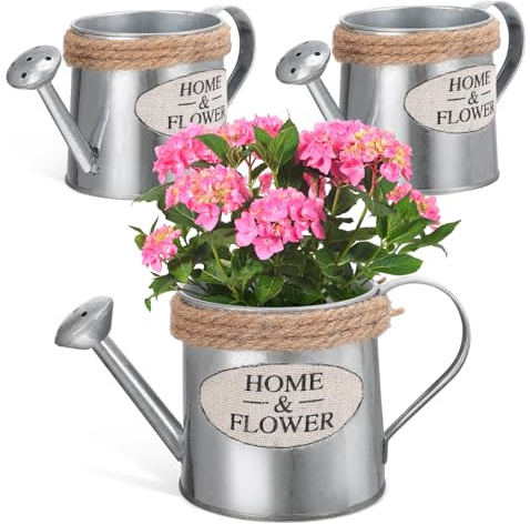 Regadera Decorativa Mini de Hierro, Juego de 3 Piezas para Interior | Estilo Rústico Vintage Clásico, Admite Arreglos de Flores Secas, Decoración de Mesa