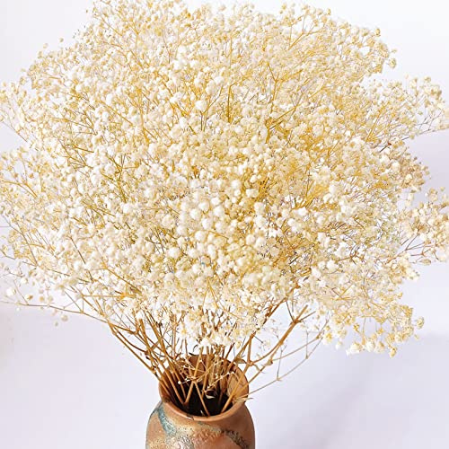 4000+ Dried Babys Breath Flowers Bulk - 17.2 Ivory White Dried Flowers Bouquet, Natural Gypsophila Branches for Vase Filler, Wedding, Home, Table Centerpiece Decor, Dry Flowers Bulk for DIY, Party