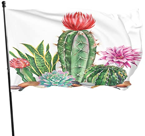 Bandera exótica de cactus de 4 x 6 pies, acuarela, verde, jardín, piedras de cactus, flores rosas, pancarta decorativa para exteriores, bandera de bienvenida grande, decoración del hogar, jardín,