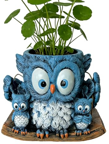 Generisch Vaso per piante, in resina sintetica, per piante, per interni, per casa, cucina, finestre, esterni, giardino, terrazza, orchidee, felci, fragole