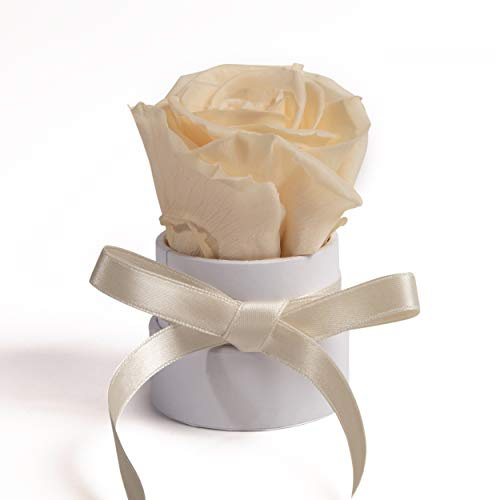 ROSEMARIE SCHULZ Heidelberg Kleine Rosenbox weiß rund Infinity Rose - Blumenbox 1 konservierte Rose (Weiß-Champagner)