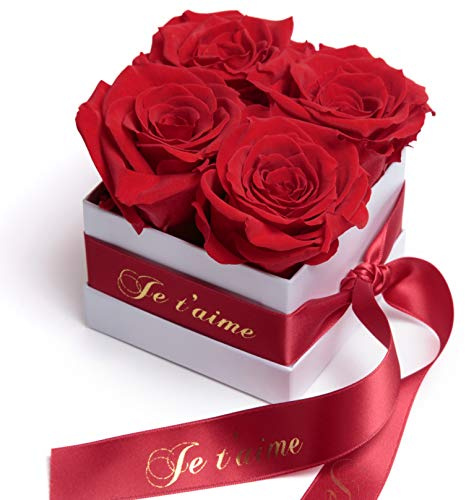 ROSEMARIE SCHULZ Heidelberg Blumenbox mit roten Infinity Rosen konservierte Blumen Valentinstagsgeschenk der Liebe für Damen (Je T'Aime, Rot)