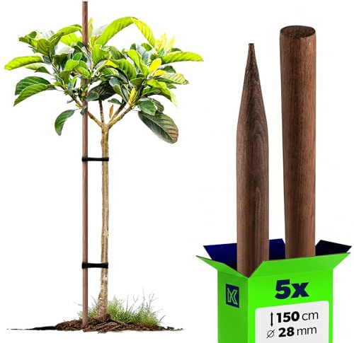 KADAX Rankhilfe aus Holz, imprägnierte Pflanzstäbe, Kletterpflanzen-Stab, wetterfeste Rankstange, Blumenstab, Rankgitter, Holzpflöcke, Pfähle (5, 28mm x 150cm)