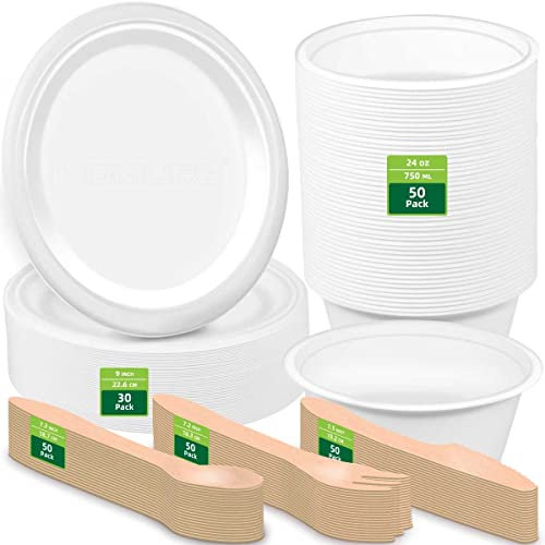 HOMURG Stabil Party Tellerset mit Einwegteller Papierschale Holzbesteck für 50 Personen, Kombiservice Set mit Schüssel Teller Vorlegebesteck 250 Stück, Einweg Geburtstag Party Picknick Geschirr Set