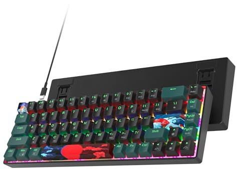 Ussixchare Tastiera meccanica da gioco al 60%, tastiera meccanica a 68 tasti, retroilluminata arcobaleno, tastiera compatta con cavo con interruttore rosso, per Windows, Mac, PS4/5, Xbox (68 verde)
