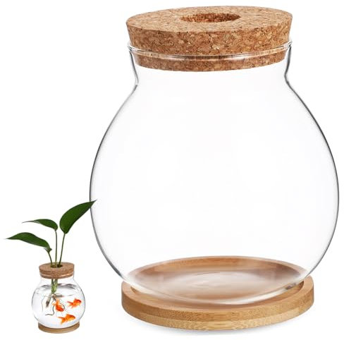 Toyvian Petit Aquarium Verre pour Poissons Betta Terrarium avec Couvercle Décoration pour Bureau Et Fenêtre