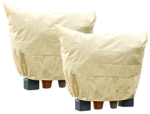 Royal Gardineer Pflanzenabdeckung Winter: 2er-Set XXXL-Pflanzenabdeckungen als Winterschutz, 360x250cm, 100g/m² (Pflanzen Abdeckplane Winter, Winterschutz Pflanzen-Haube, EIS)