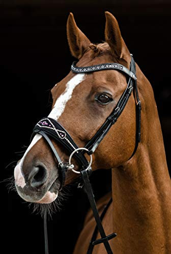 Tysons Breeches Black Perl Multi Tresne Genick Patches geteilt Butterweich Leder Schwarz Strass Noriker (WB)