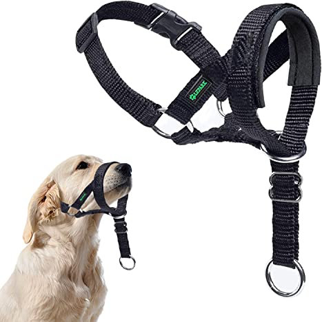 ILEPARK Hundehalfter mit Sicherheitsgurt, Kopfgeschirr für Hunde, um das Ziehen zu stoppen, verstellbar und leicht zu kontrollieren (L, Schwarz)