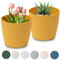 PECZEKO Pots de Fleurs Mats Pots de Plantes Ronds en Plastique Durables et Légers pour Salon et Salle à Manger - 2 pièces (Moutarde, ø 11 cm)