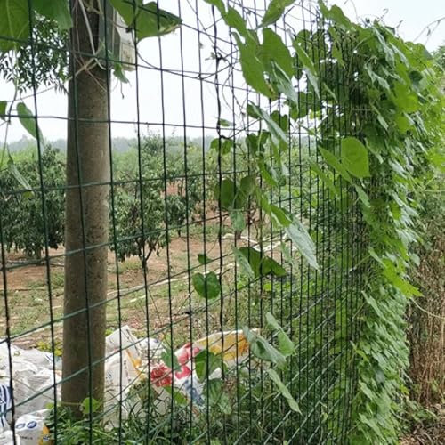 HGOuhK Clôture en Filet Clôture en Treillis métallique, Treillis soudé galvanisé à Chaud avec revêtement en PVC, Treillis métallique clôture de Jardin(1.2x30m)