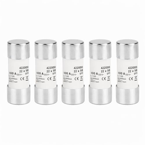WEBMATEL Fusible de Tubo Cerámico Cilíndrico 22 * 58mm - Pack de 5 Unidades - 80A - 500VAC - Tipo gG